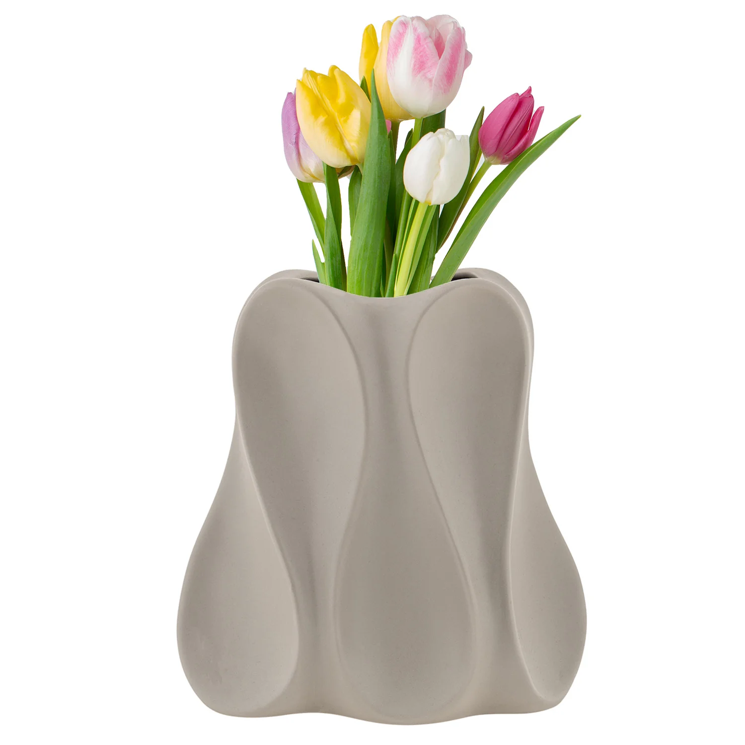 Vaso BELFY - Image 2